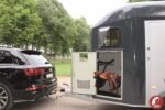 Furgón para caballos Cheval Liberté Gold 3 Luxe – 2 plazas - Imagen 5